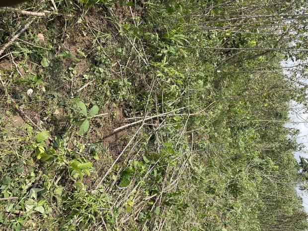 Lands for Sale · Photo 5