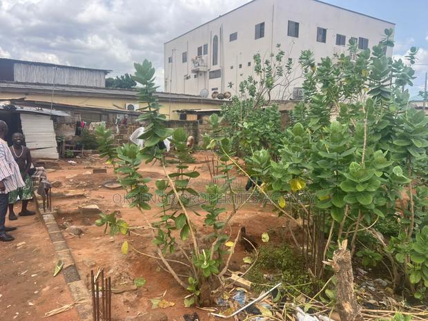 1plot for Sale at Madina Township · Photo 6