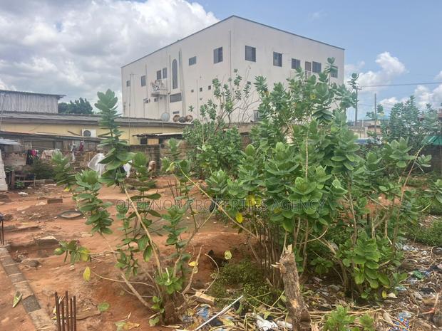 1plot for Sale at Madina Township · Photo 7
