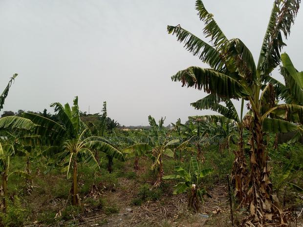 46plot for Sale at Adenta Amrahia · Photo 2