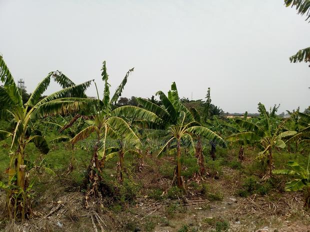 46plot for Sale at Adenta Amrahia · Photo 3