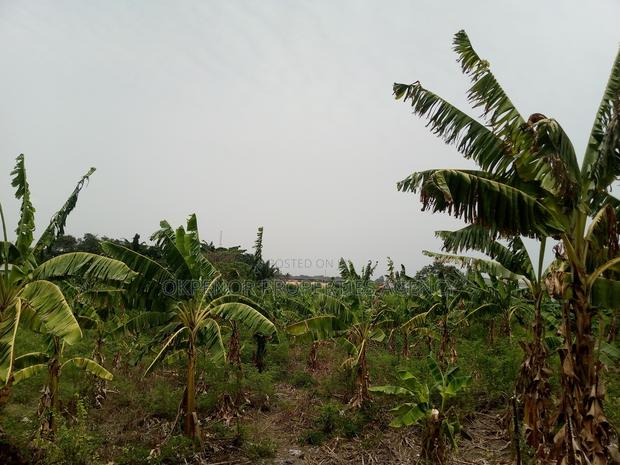 46plot for Sale at Adenta Amrahia · Photo 4