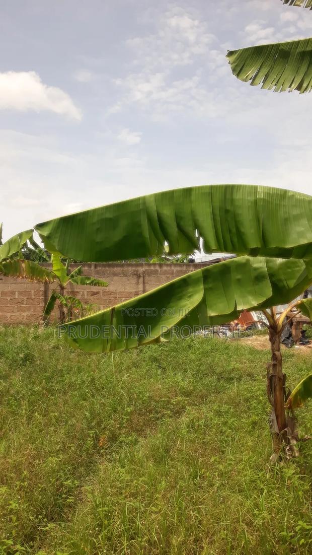 Two Plots of Land for Sale at Manhean · Photo 5