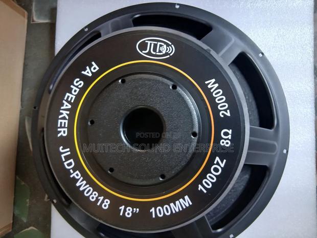 Single Magnet Naked Speaker ( 18 Inches) · Photo 3