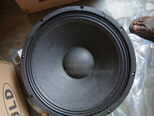 Single Magnet Naked Speaker ( 18 Inches) · Photo 5