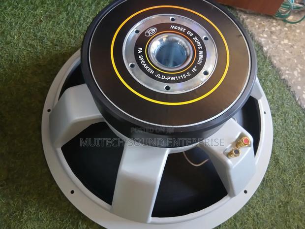 JLD Naked Speaker (18 Inches)Double Magnet · Photo 2