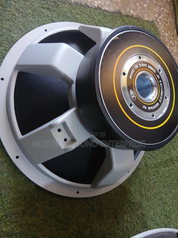 JLD Naked Speaker (18 Inches)Double Magnet · Photo 4