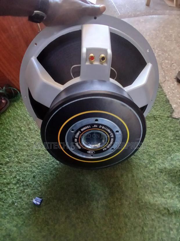 JLD Naked Speaker (18 Inches)Double Magnet · Photo 5