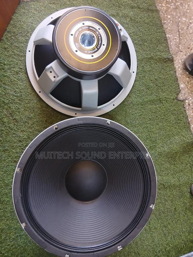 JLD Naked Speaker (18 Inches)Double Magnet · Photo 7