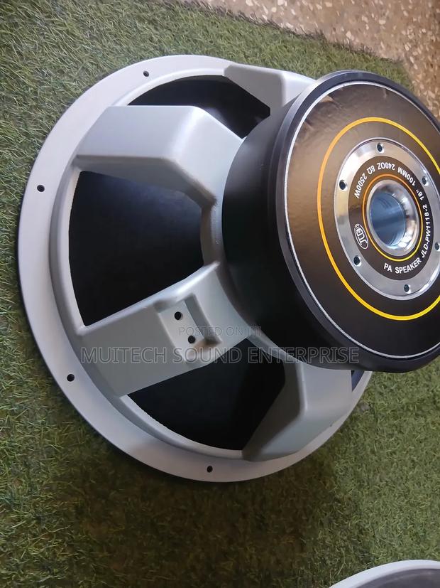 JLD Naked Speaker (18 Inches)Double Magnet · Photo 8