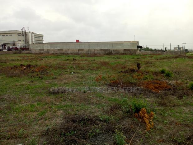 Warehouse for Rent at Freezone · Photo 2