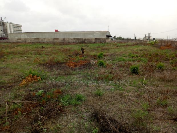Warehouse for Rent at Freezone · Photo 5