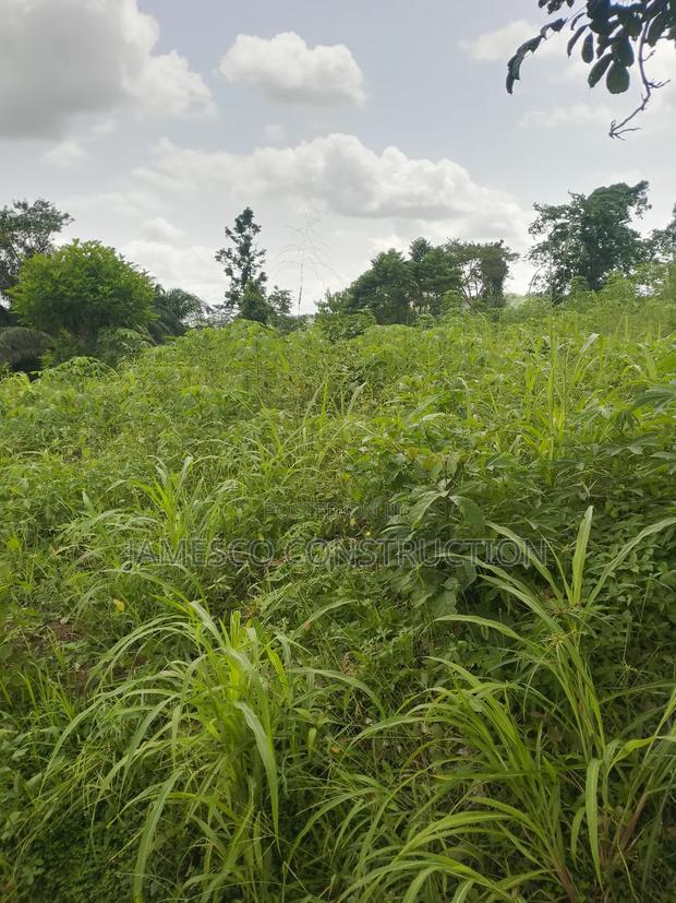 Farmlands for Sale · Photo 2