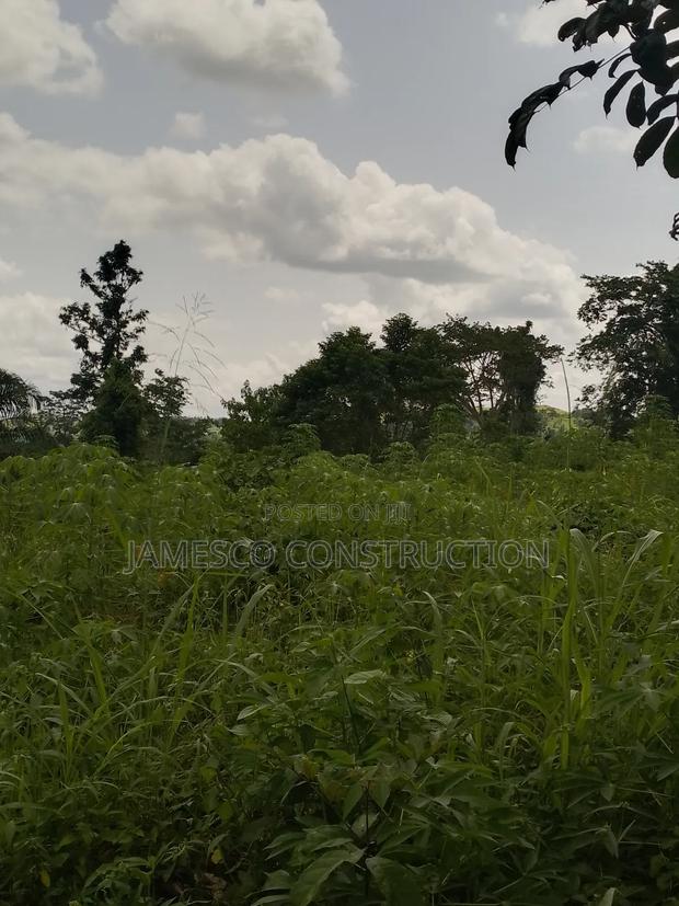 Farmlands for Sale · Photo 3