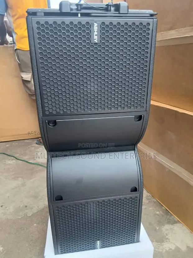 Ashley Line Array Speaker 10 Inches · Photo 1