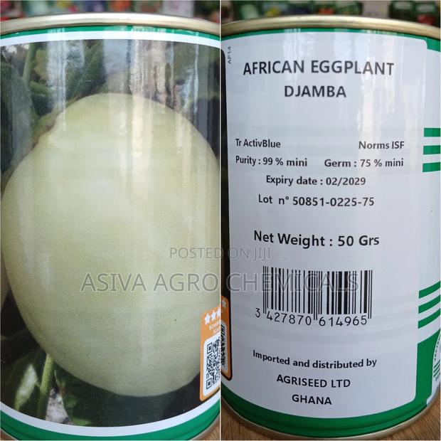 African Eggplant Seeds (Garden Egg) · Photo 1