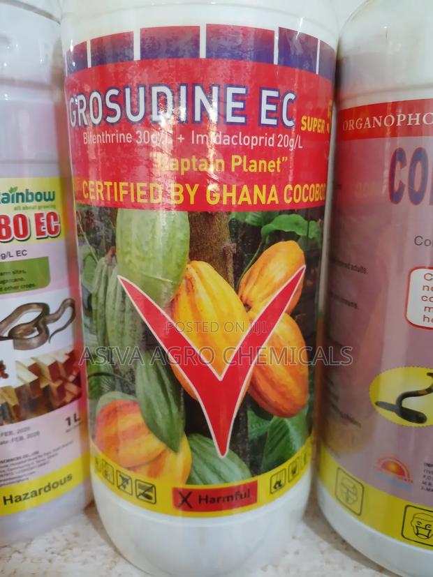 Grosudine/ Captain Planet · Photo 1