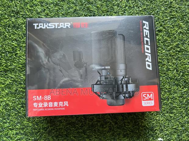Takstar Studio Microphone · Photo 1