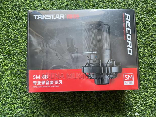 Takstar Studio Microphone · Photo 2