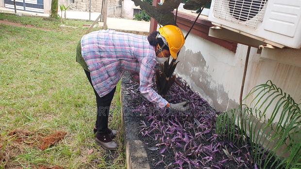 Cleantex Flower and Gardening Service's · Photo 1