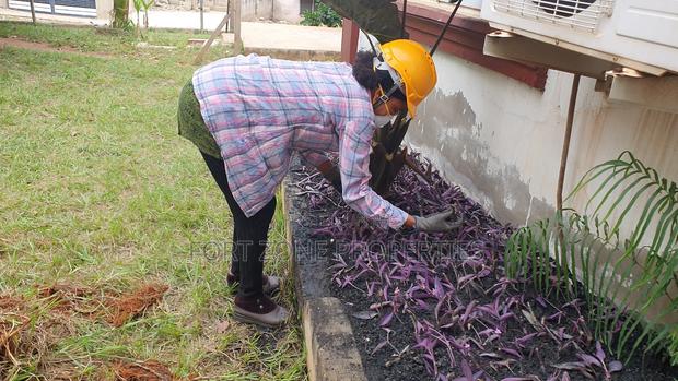 Cleantex Flower and Gardening Service's · Photo 2