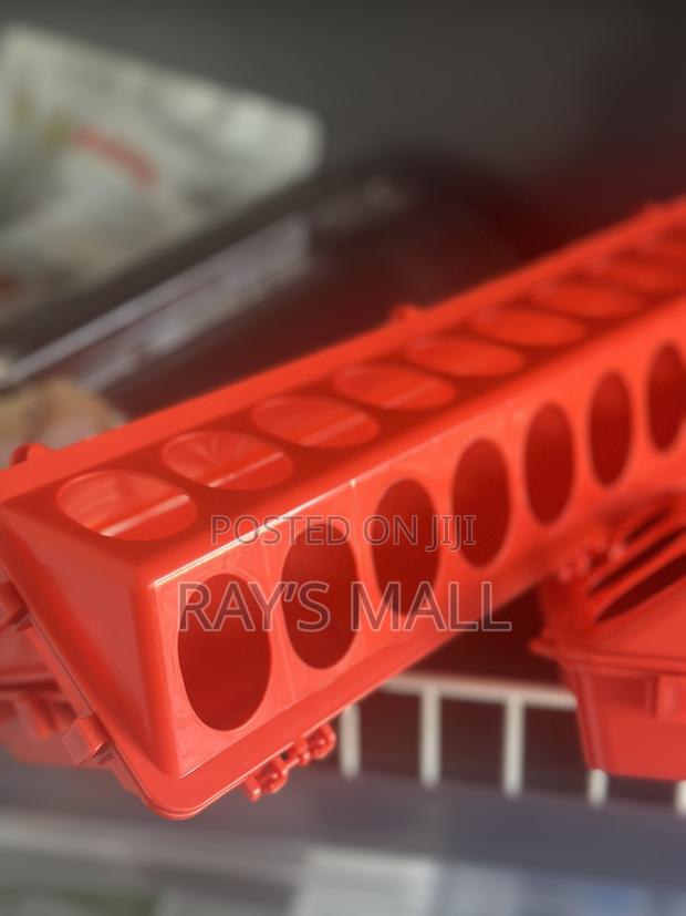 Flip Top Feeders · Photo 1