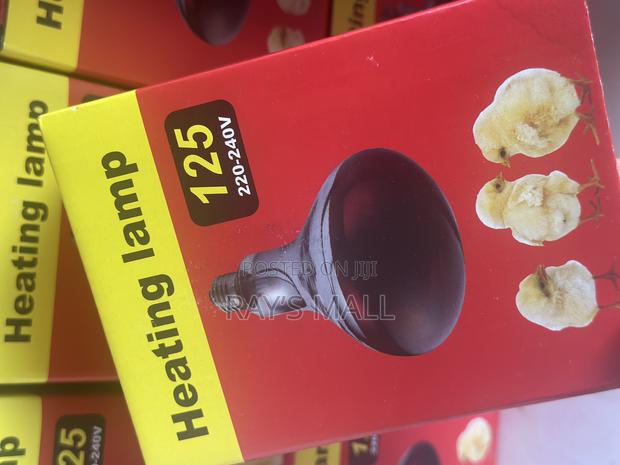 Heat Bulb for Brooding · Photo 2