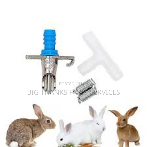 Rabbit Automatic Drinkers(Different Types) · Photo 1