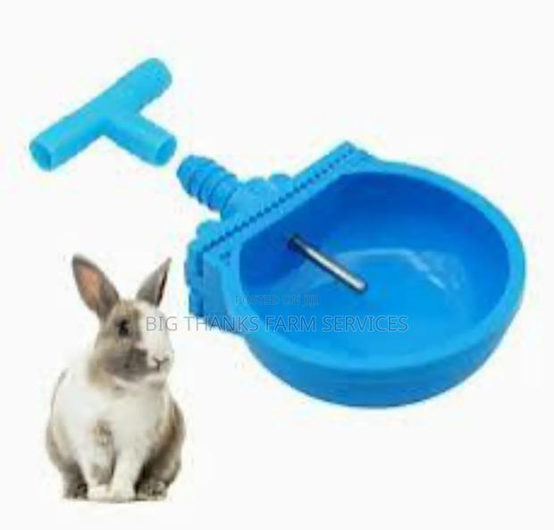 Rabbit Drinkers (Standard) · Photo 1