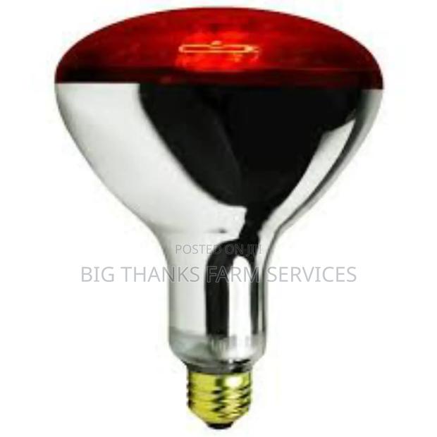 Poultry Heater Bulbs And Holders,250w &More · Photo 1