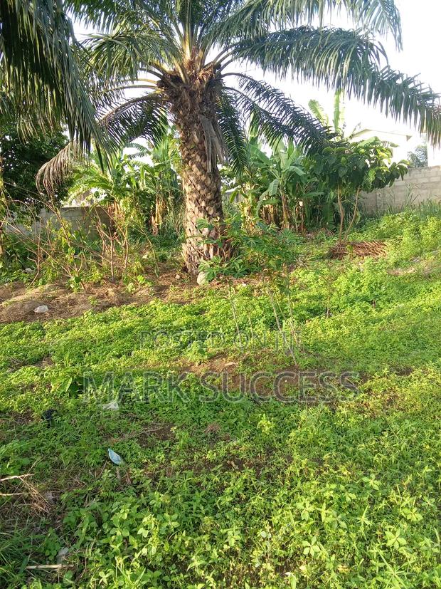 Plots for at Kasoa Old Timers Near New Market · Photo 3
