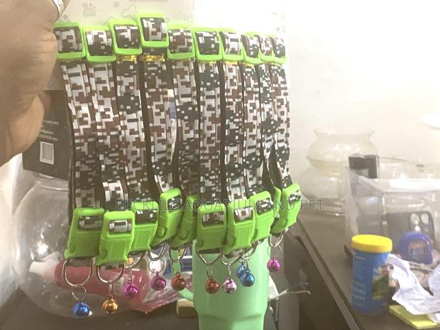 Lead and Collar for Dogs · Photo 1