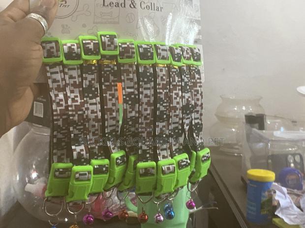 Lead and Collar for Dogs · Photo 2