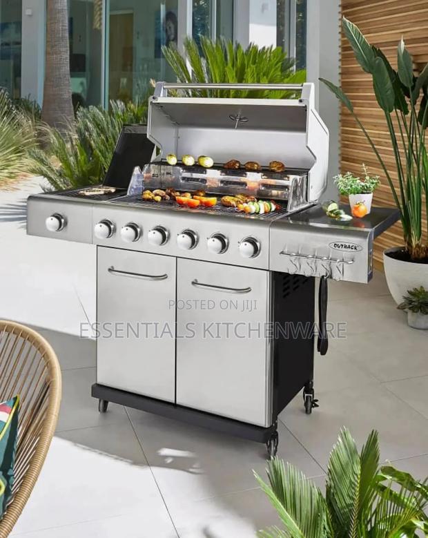 Gas/Charcoal 6s Burner Hybrid · Photo 1