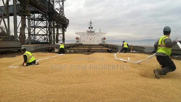 Mediterranean Shipping Fumigation Service With Cleantex · Photo 2