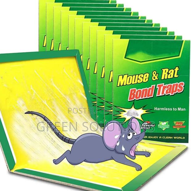 Rat Mouse Glue Trap Boards (Wholesale) · Photo 2