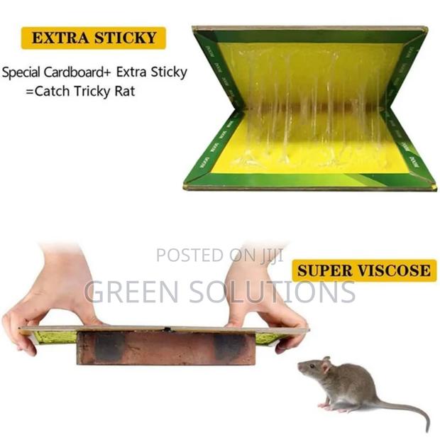 Rat Mouse Glue Trap Boards (Wholesale) · Photo 3