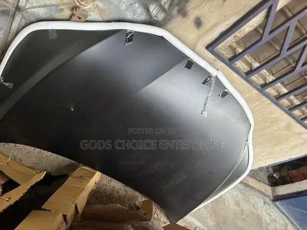 Bonnet Lexus Rx 350 2017-2018-2019-2020-2021 · Photo 1