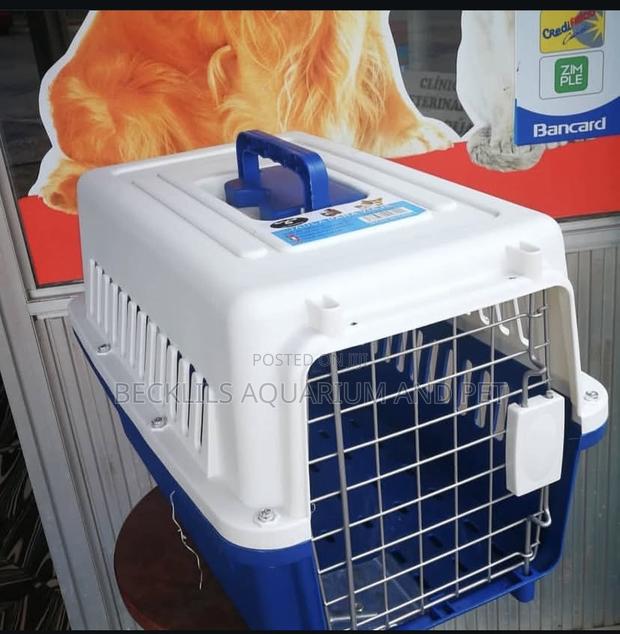 Spot Pat Design Plastic Dog Cage · Photo 1