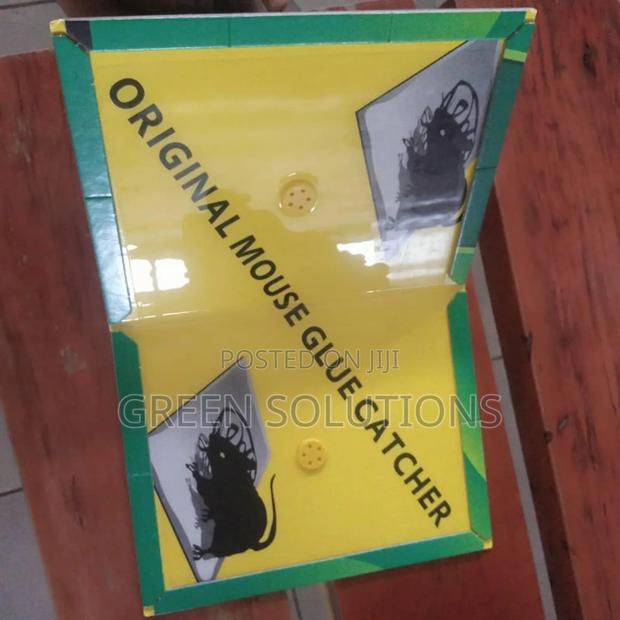 Rat Mouse Glue Trap Boards (Wholesale) · Photo 7