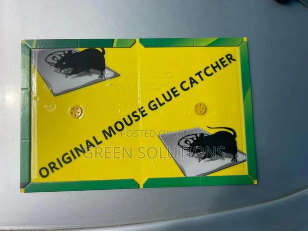 Rat Mouse Glue Trap Boards (Wholesale) · Photo 5