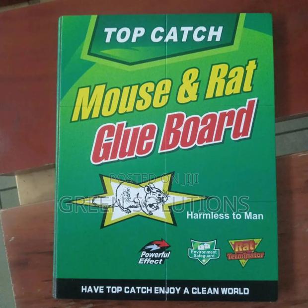 Rat Mouse Glue Trap Boards (Wholesale) · Photo 8