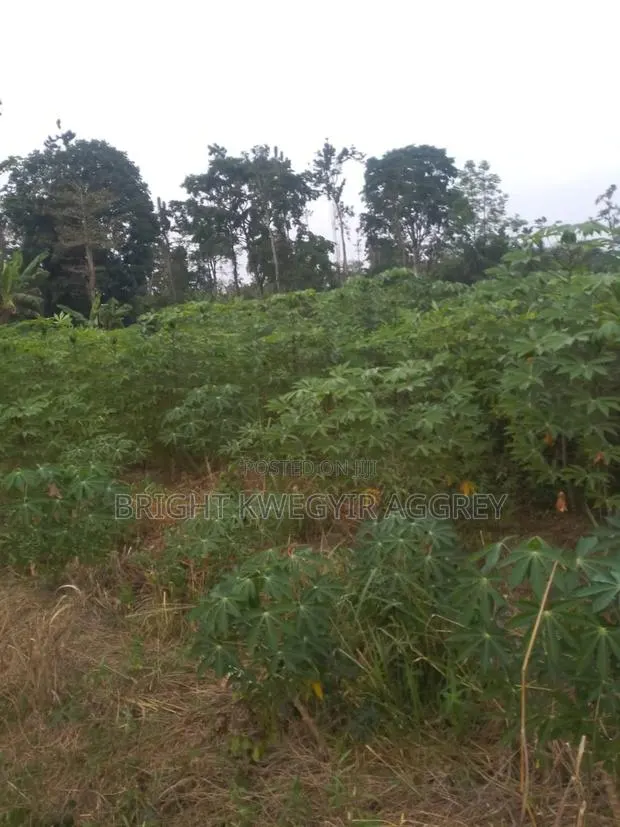 Farm Land for Sale · Photo 1