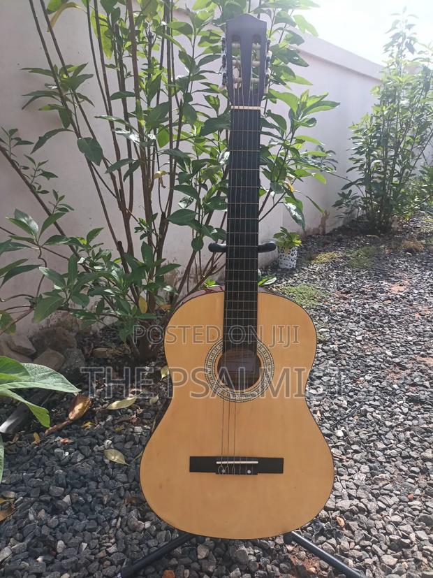 Classical Guitar Palma,Hohner, Monroy,Cantabelisson · Photo 1