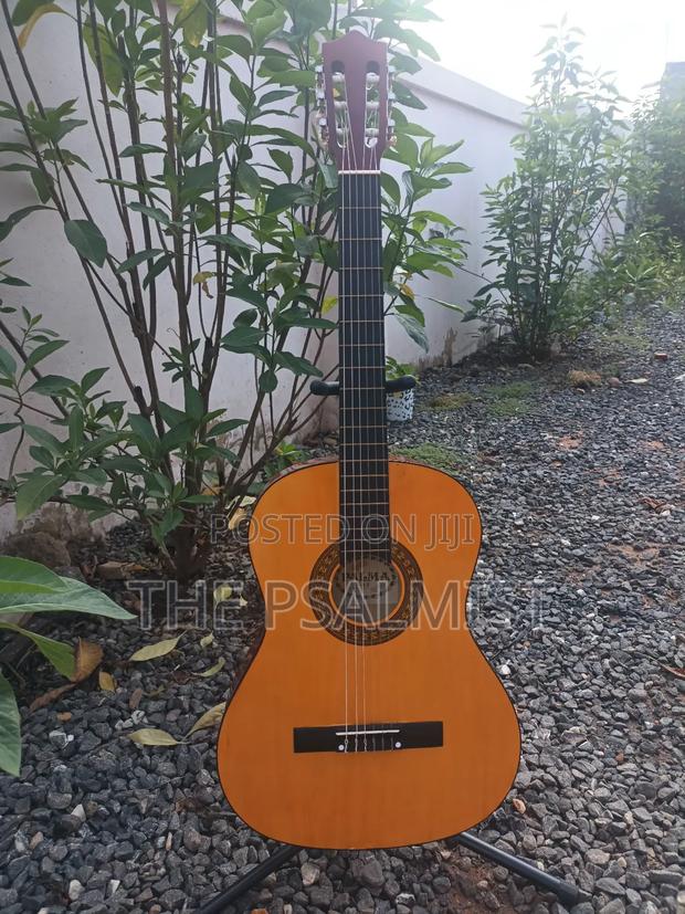 Classical Guitar Palma,Hohner, Monroy,Cantabelisson · Photo 4
