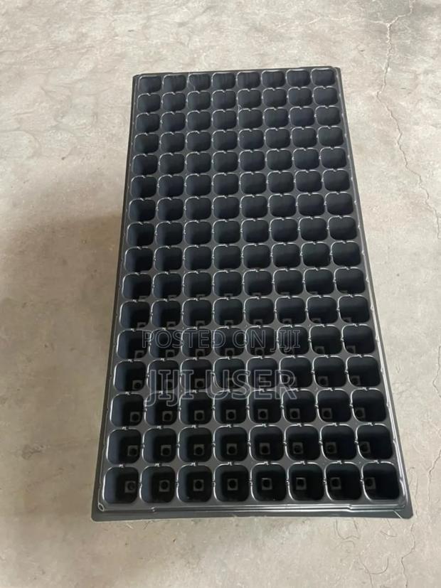 Seedlings Nursery Tray