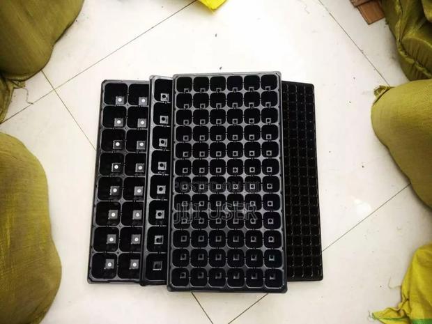 Seedlings Nursery Tray · Photo 2