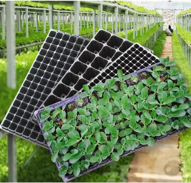 Seedlings Nursery Tray · Photo 4
