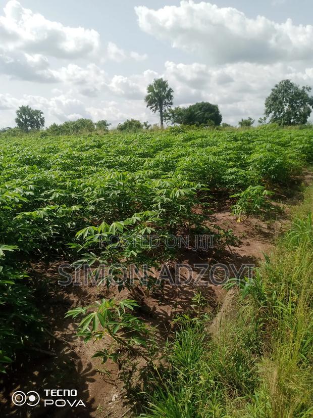 3000 Acres of Farm Land for Sale · Photo 1