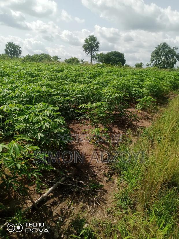 3000 Acres of Farm Land for Sale · Photo 2